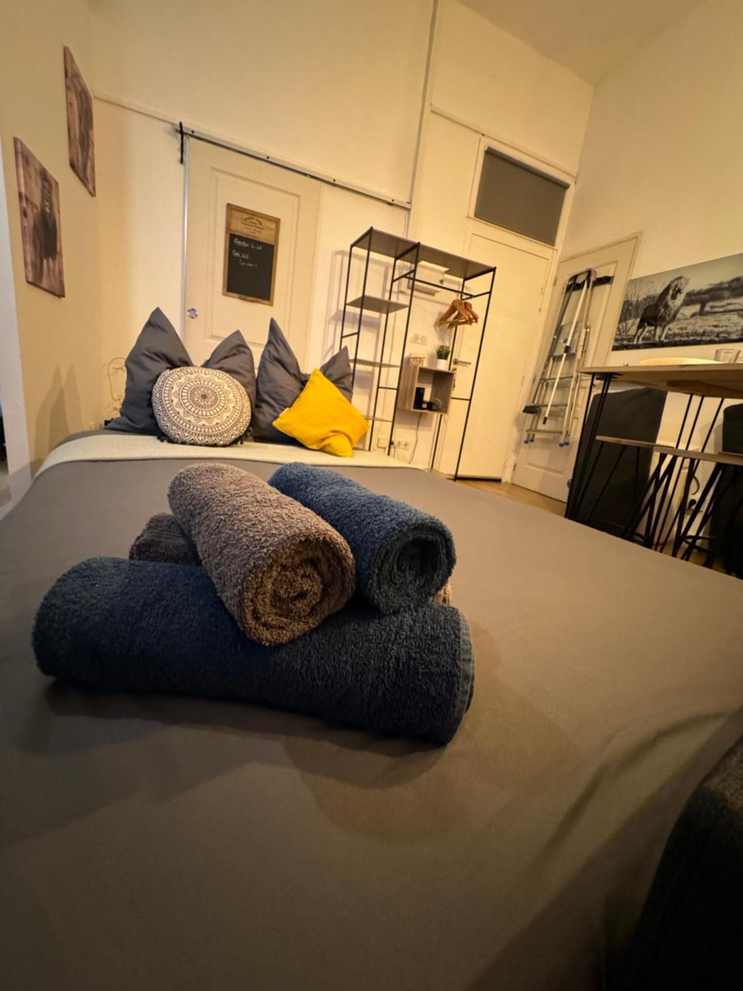 Charmant Appartement Climatise Aux Pieds De La Cite Каркассон Экстерьер фото