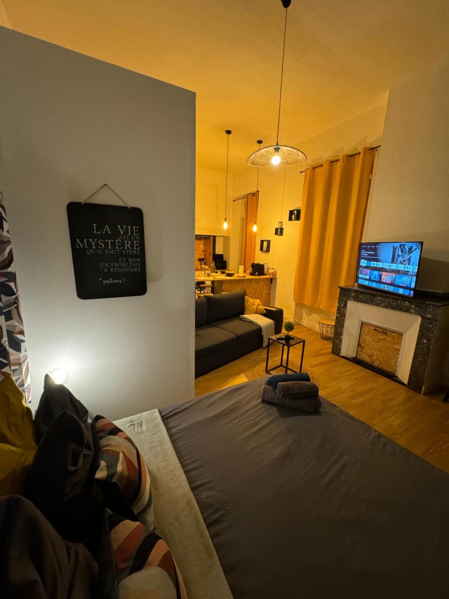 Charmant Appartement Climatise Aux Pieds De La Cite Каркассон Экстерьер фото