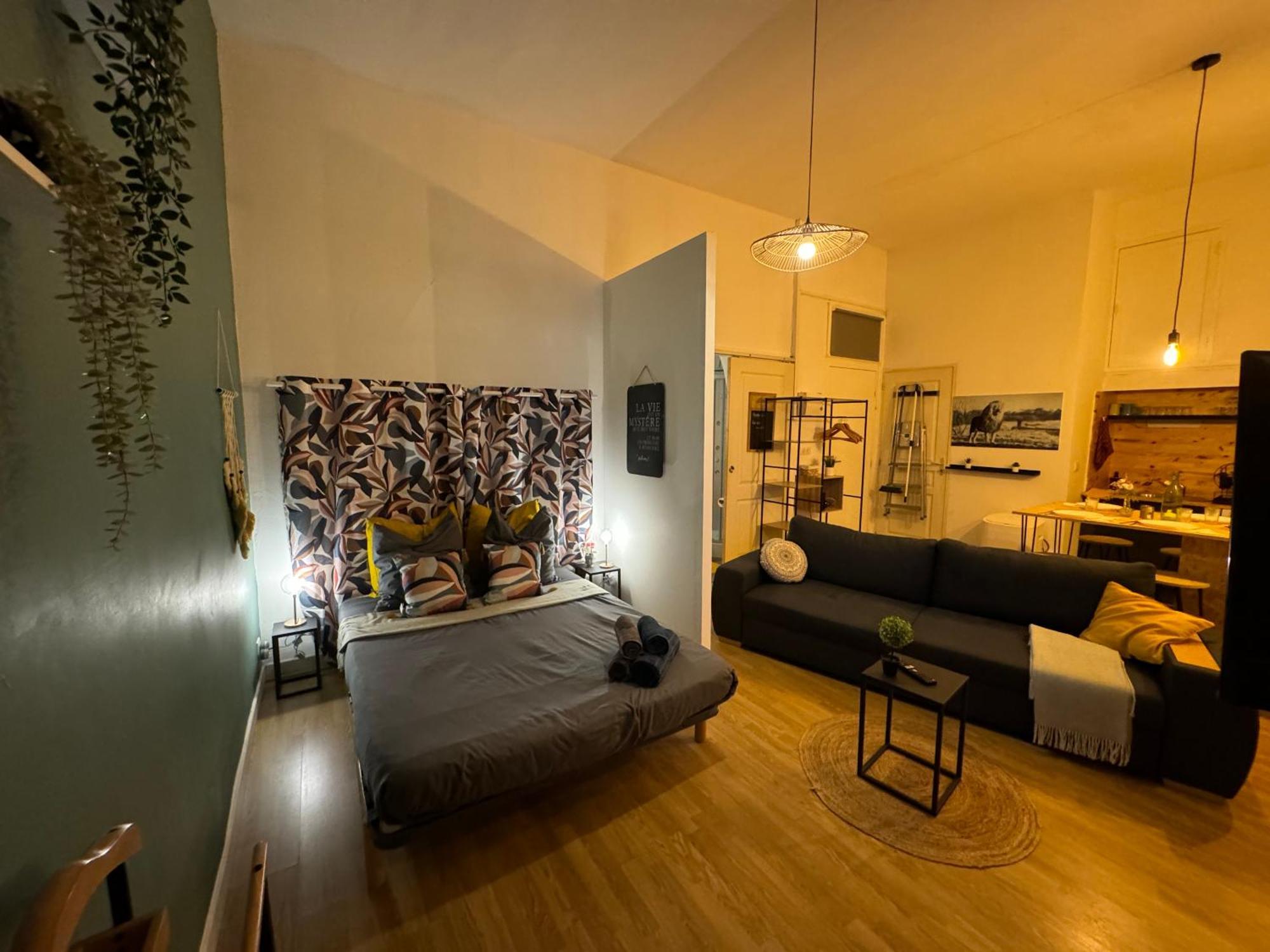 Charmant Appartement Climatise Aux Pieds De La Cite Каркассон Экстерьер фото